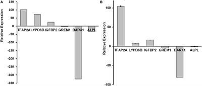 Gene-Expression Analysis Identifies IGFBP2 Dysregulation in Dental Pulp Cells From Human Cleidocranial Dysplasia